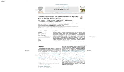Enhanced immobilization of U(VI) on Mucor circinelloides in presence of As(V): Batch and XAFS investigation*
